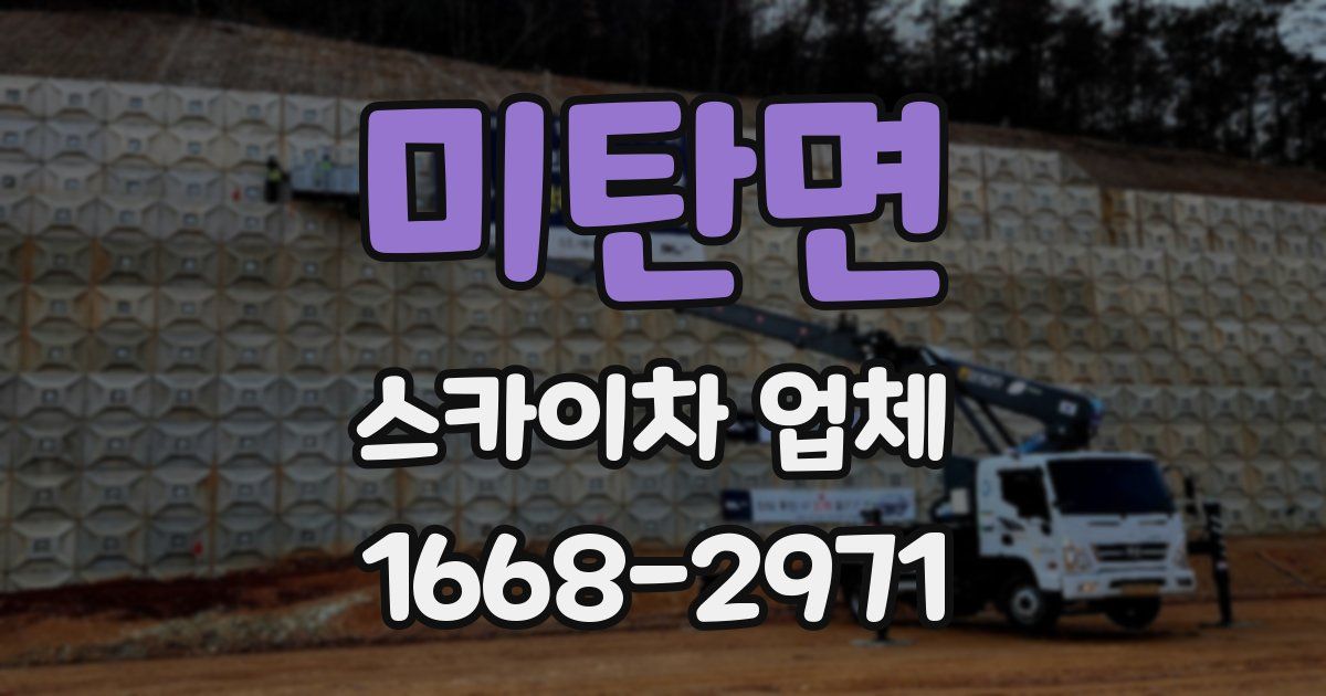미탄면 스카이차 업체