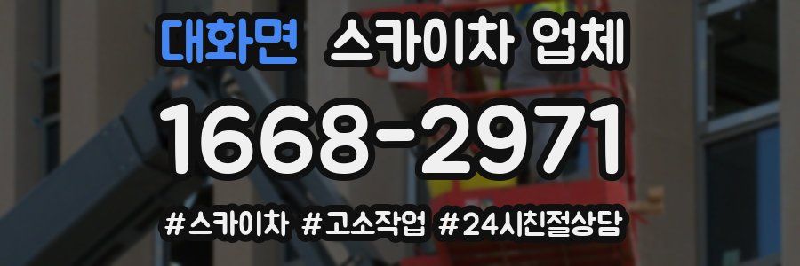 대화면 스카이차 업체