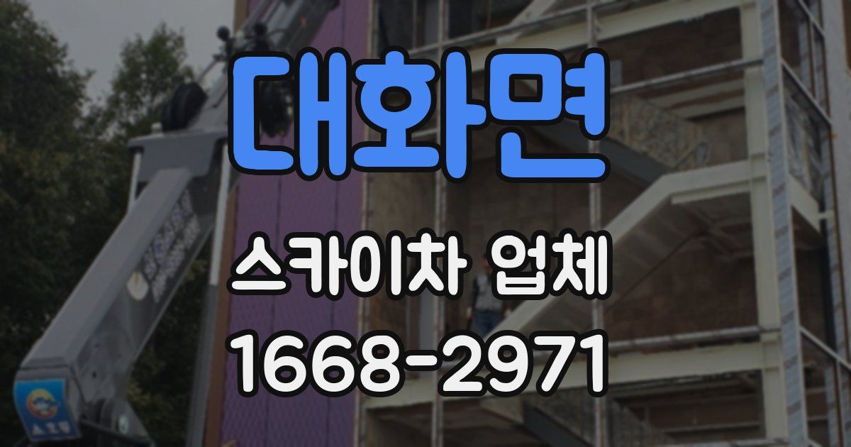 대화면 스카이차 업체