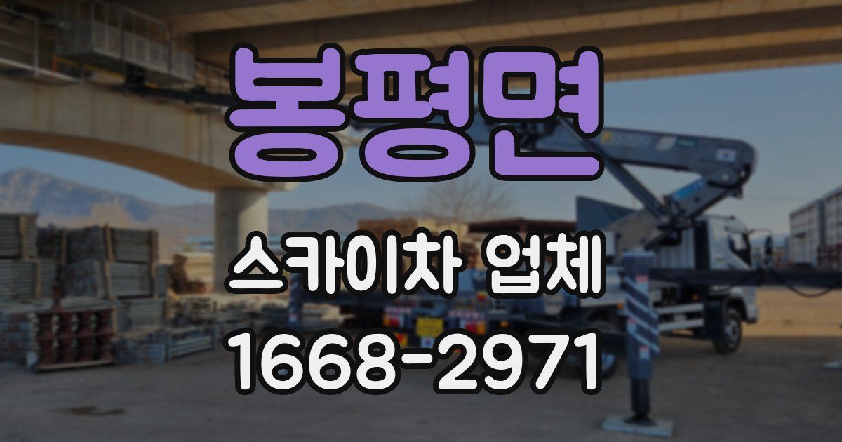 봉평면 스카이차 업체