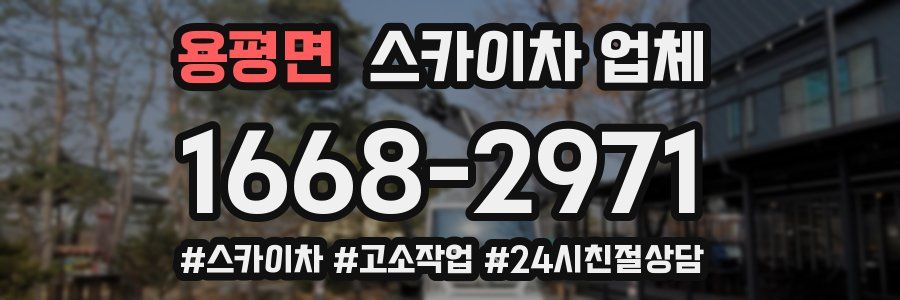 용평면 스카이차 업체
