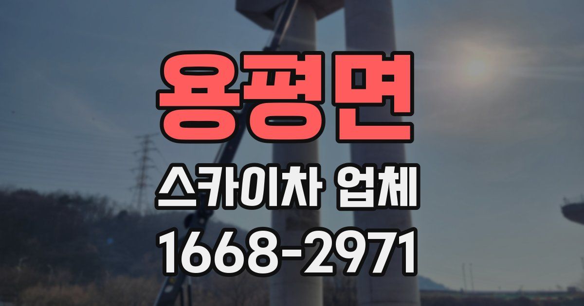 용평면 스카이차 업체