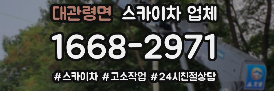 대관령면 스카이차 업체