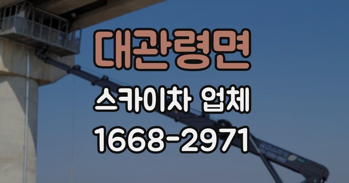 대관령면 스카이차 업체