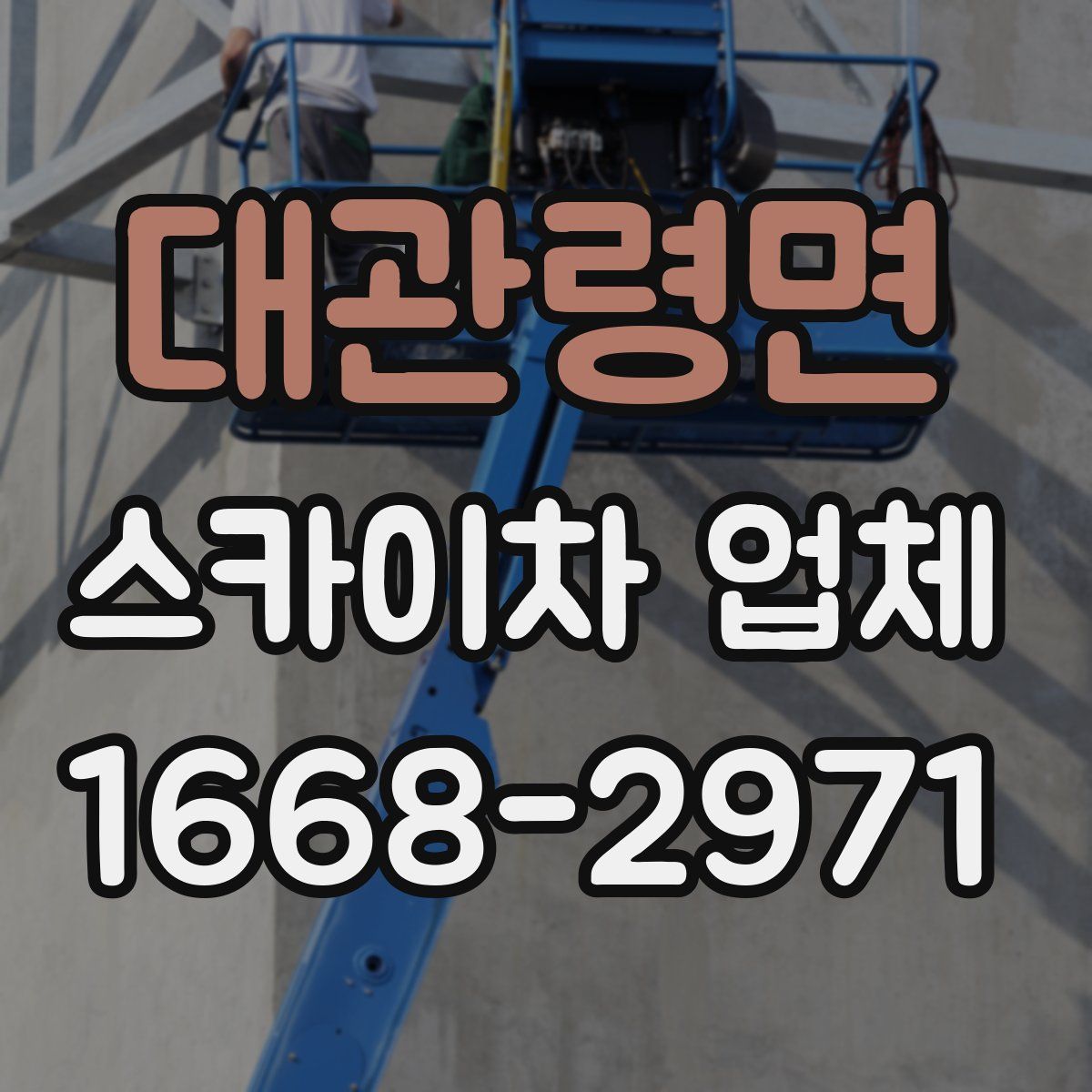 대관령면 스카이차 업체