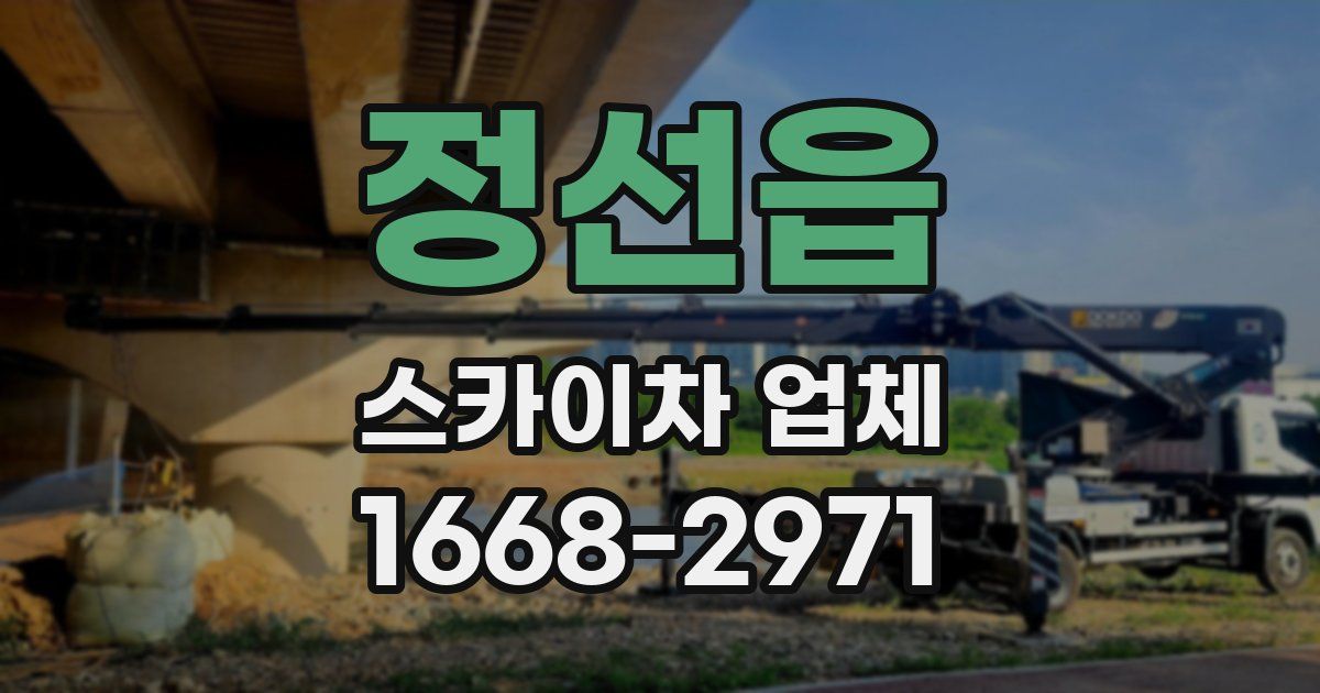 정선읍 스카이차 업체