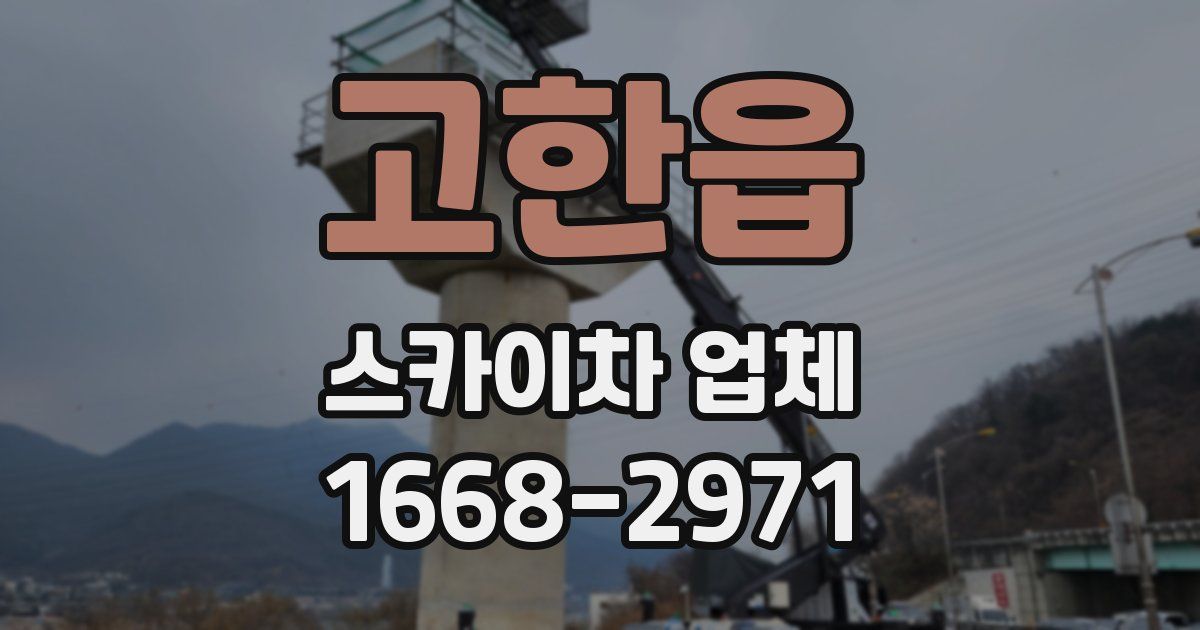 고한읍 스카이차 업체
