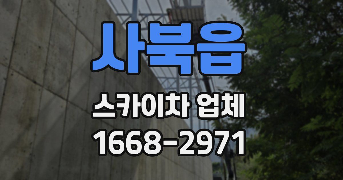 사북읍 스카이차 업체