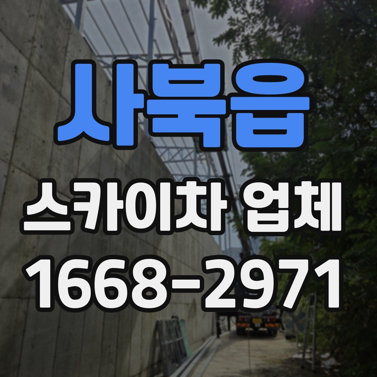 사북읍 스카이차 업체