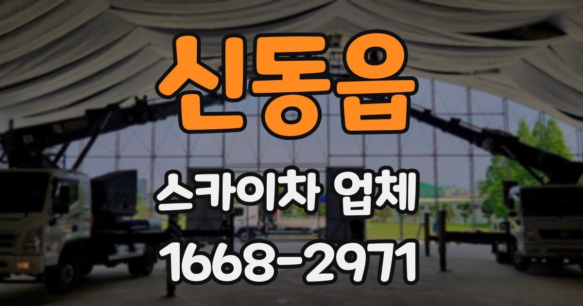 신동읍 스카이차 업체