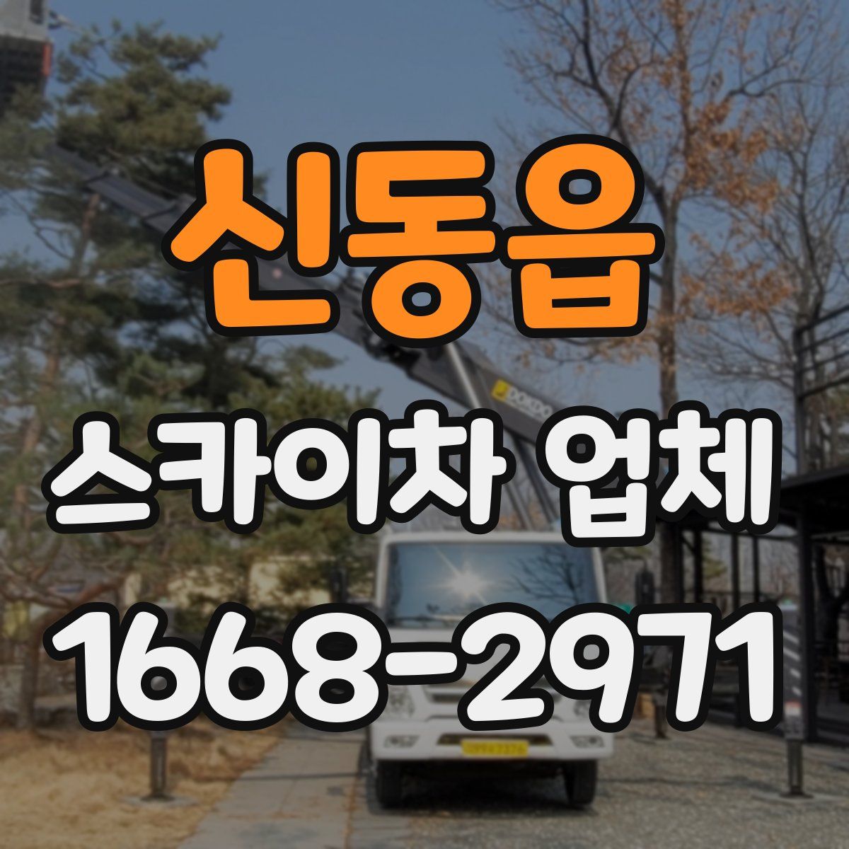 신동읍 스카이차 업체