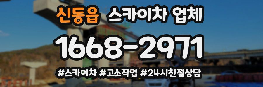 신동읍 스카이차 업체