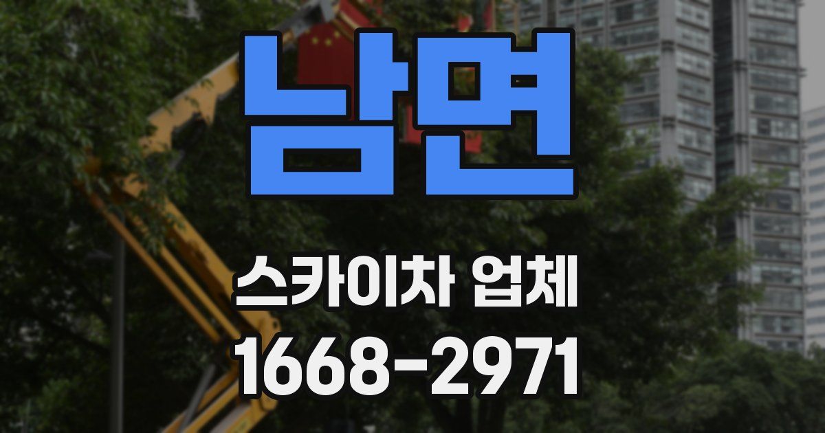 남면 스카이차 업체