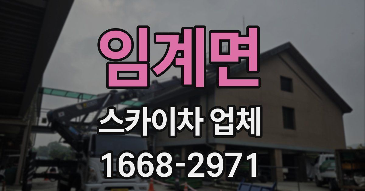 임계면 스카이차 업체
