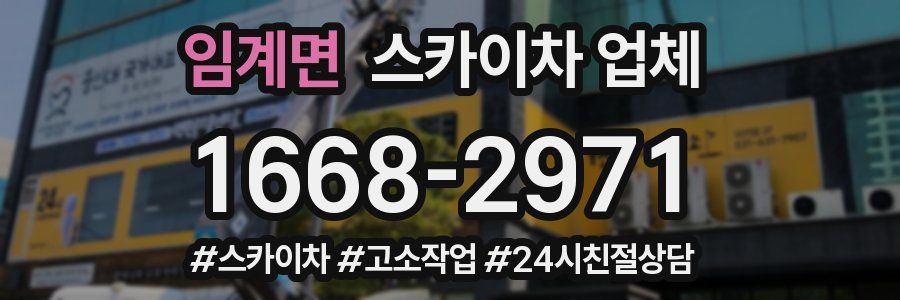 임계면 스카이차 업체