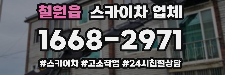 철원읍 스카이차 업체