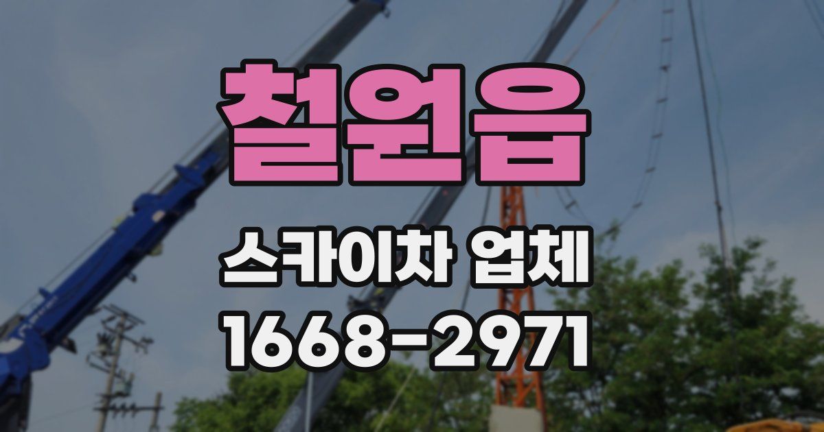 철원읍 스카이차 업체