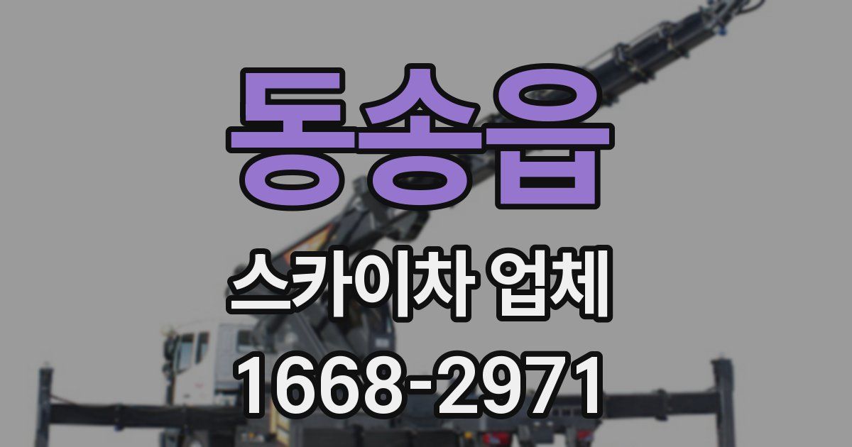 동송읍 스카이차 업체