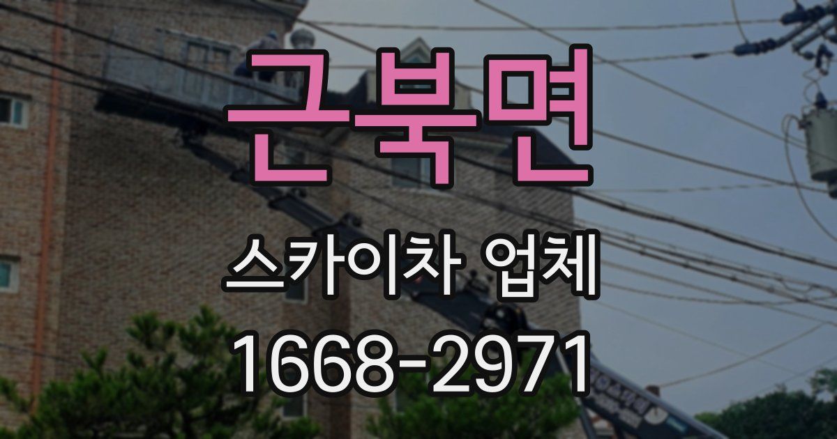 근북면 스카이차 업체