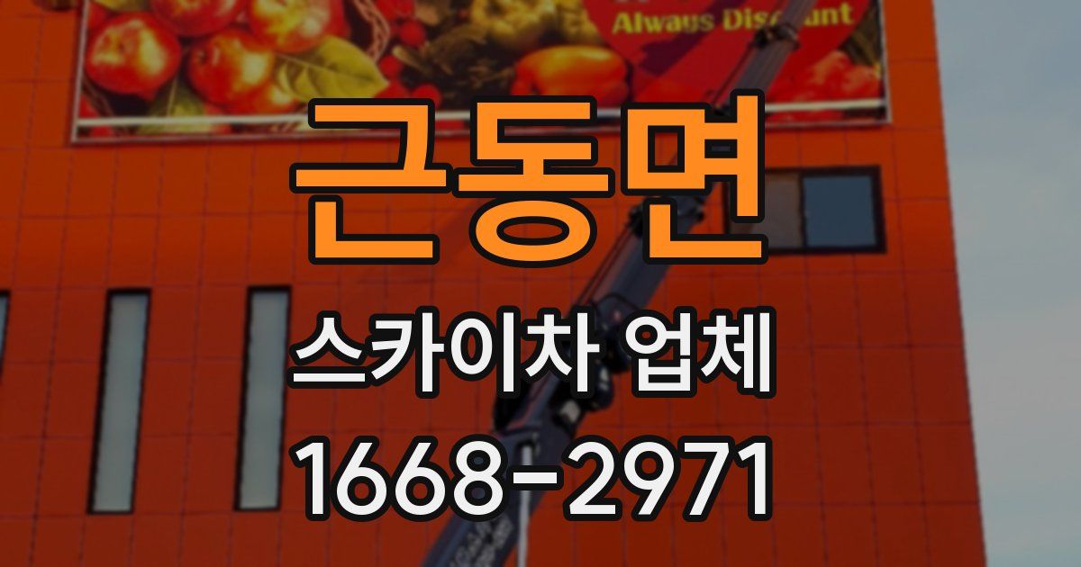 근동면 스카이차 업체