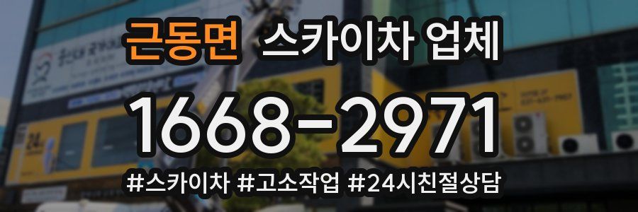 근동면 스카이차 업체