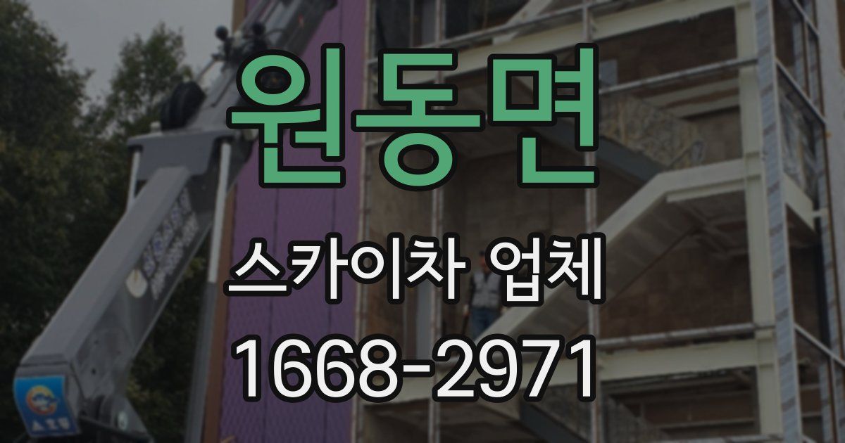원동면 스카이차 업체