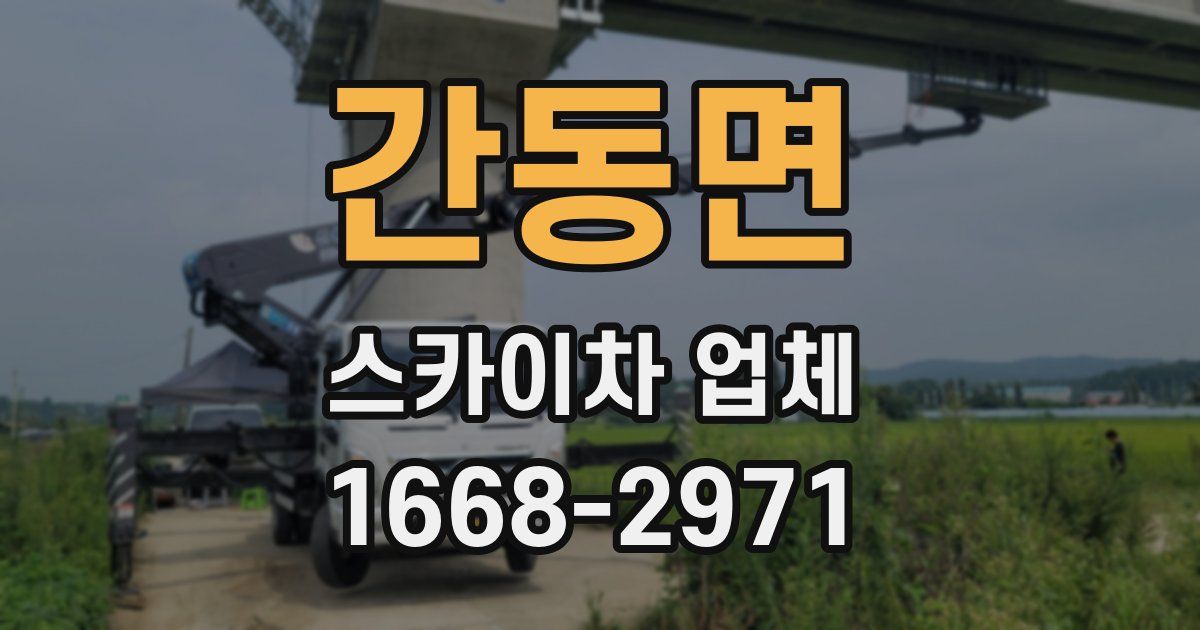 간동면 스카이차 업체
