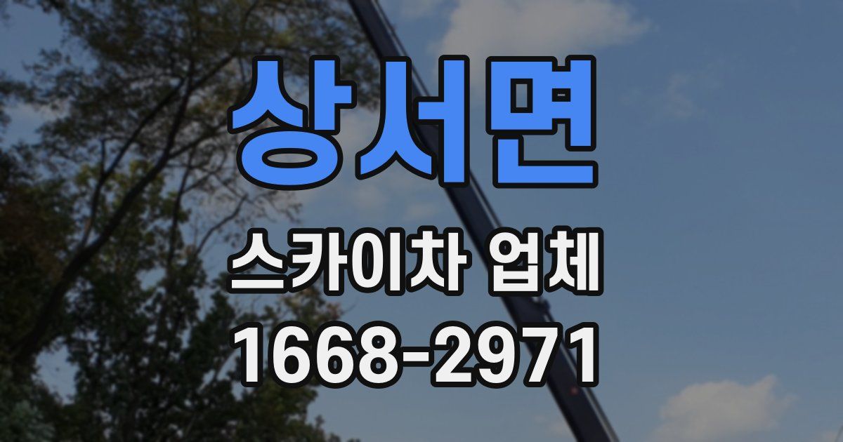 상서면 스카이차 업체