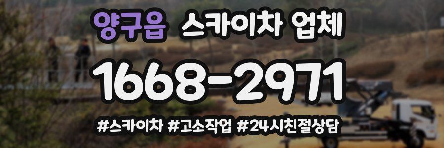 양구읍 스카이차 업체