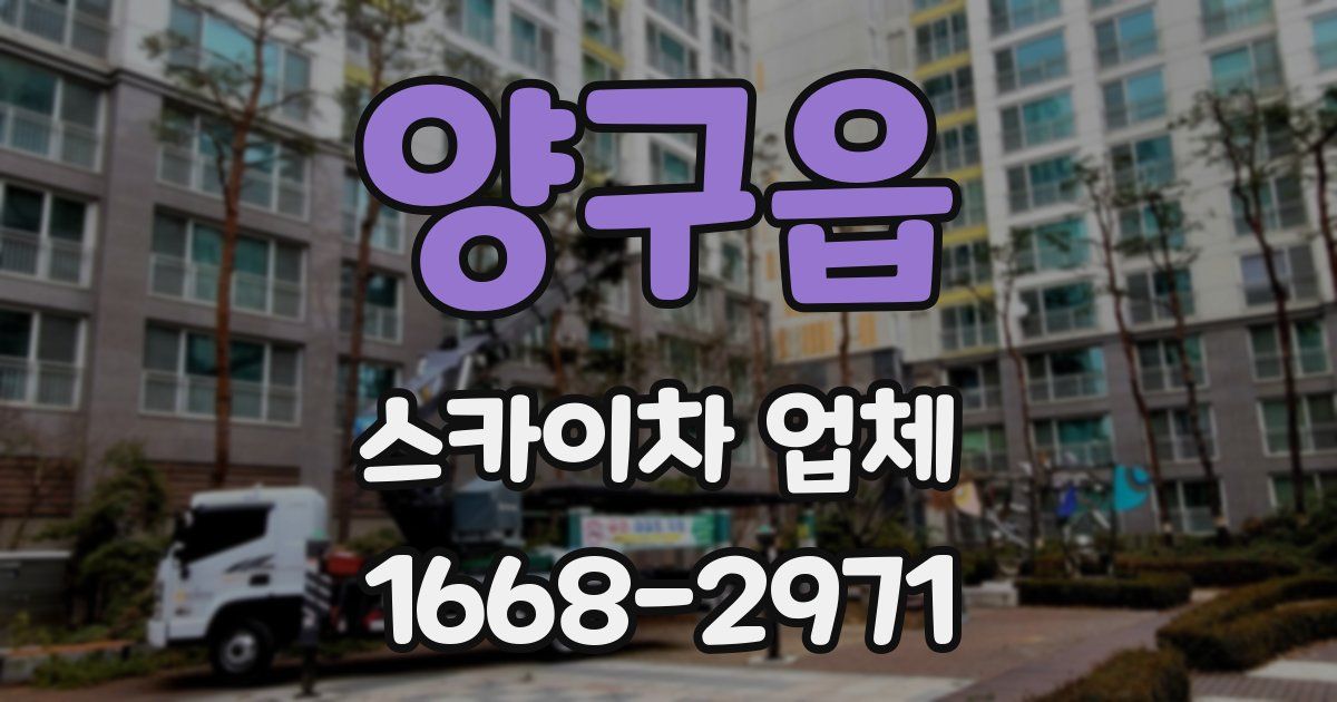 양구읍 스카이차 업체