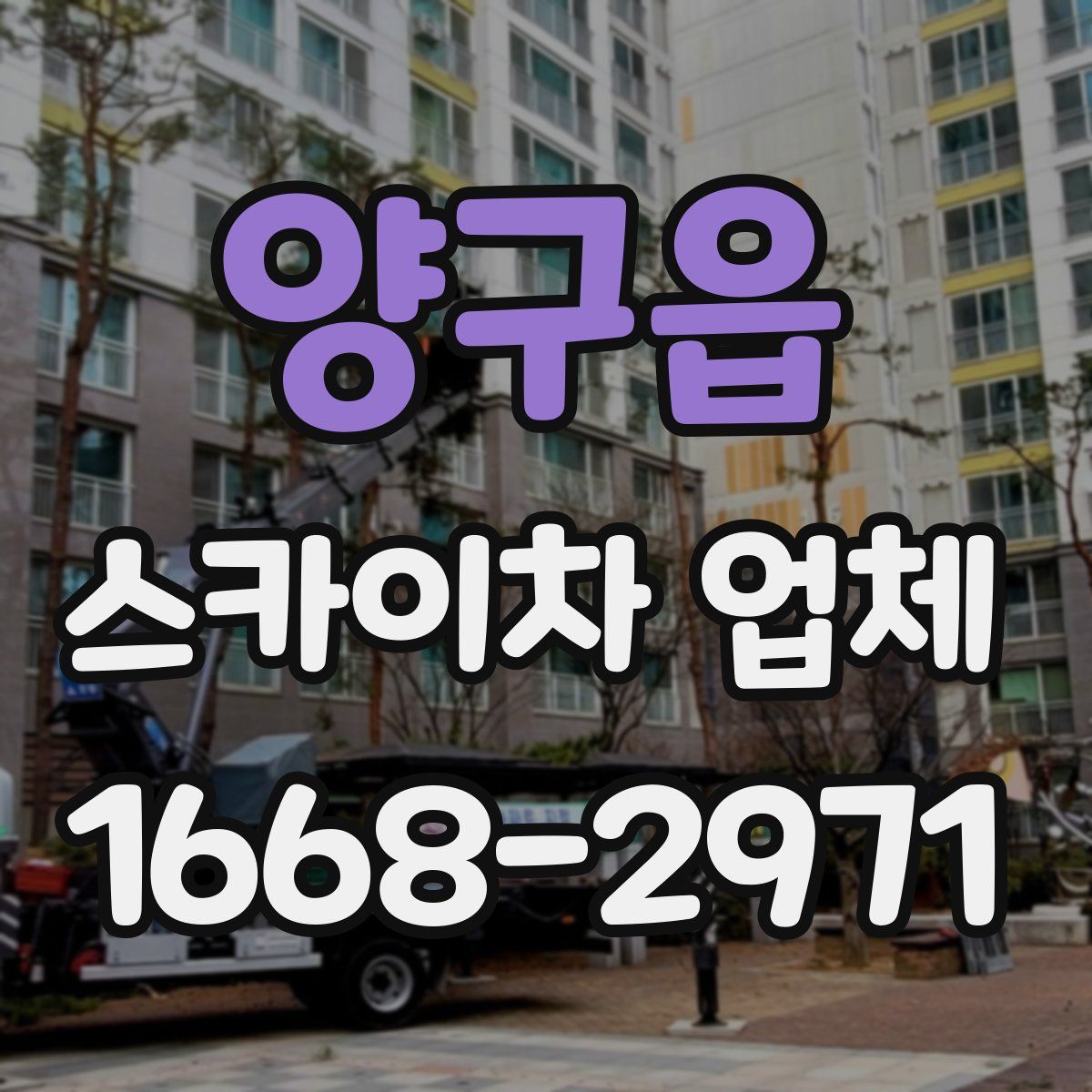 양구읍 스카이차 업체