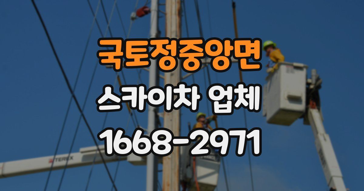 국토정중앙면 스카이차 업체