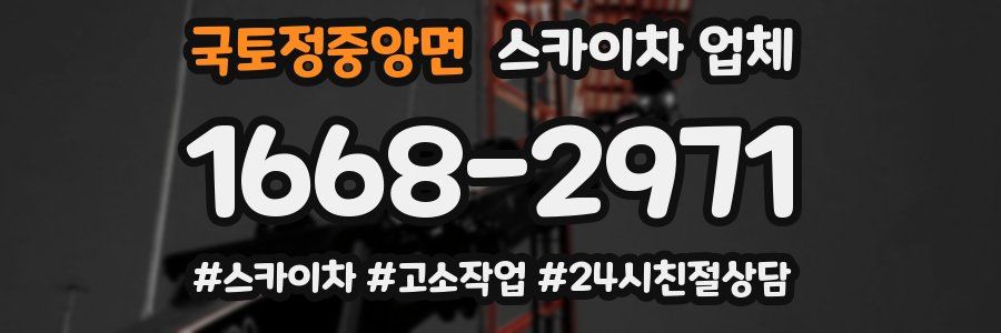 국토정중앙면 스카이차 업체