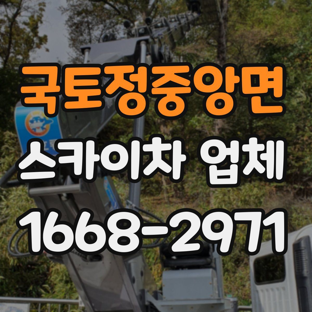 국토정중앙면 스카이차 업체