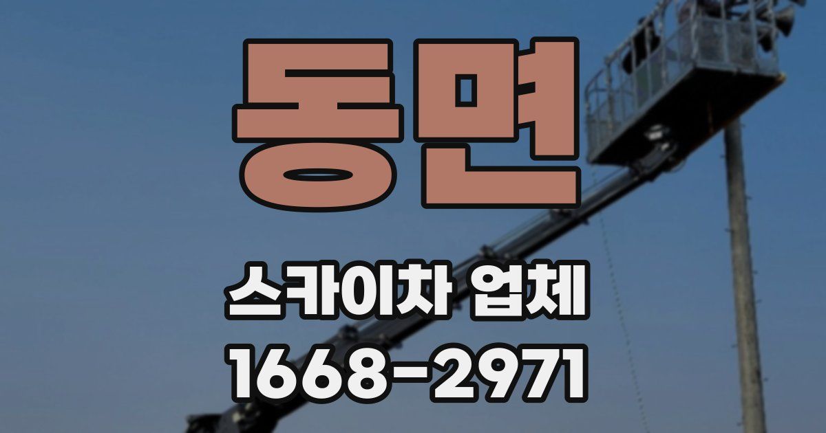 동면 스카이차 업체