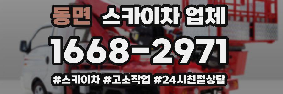 동면 스카이차 업체