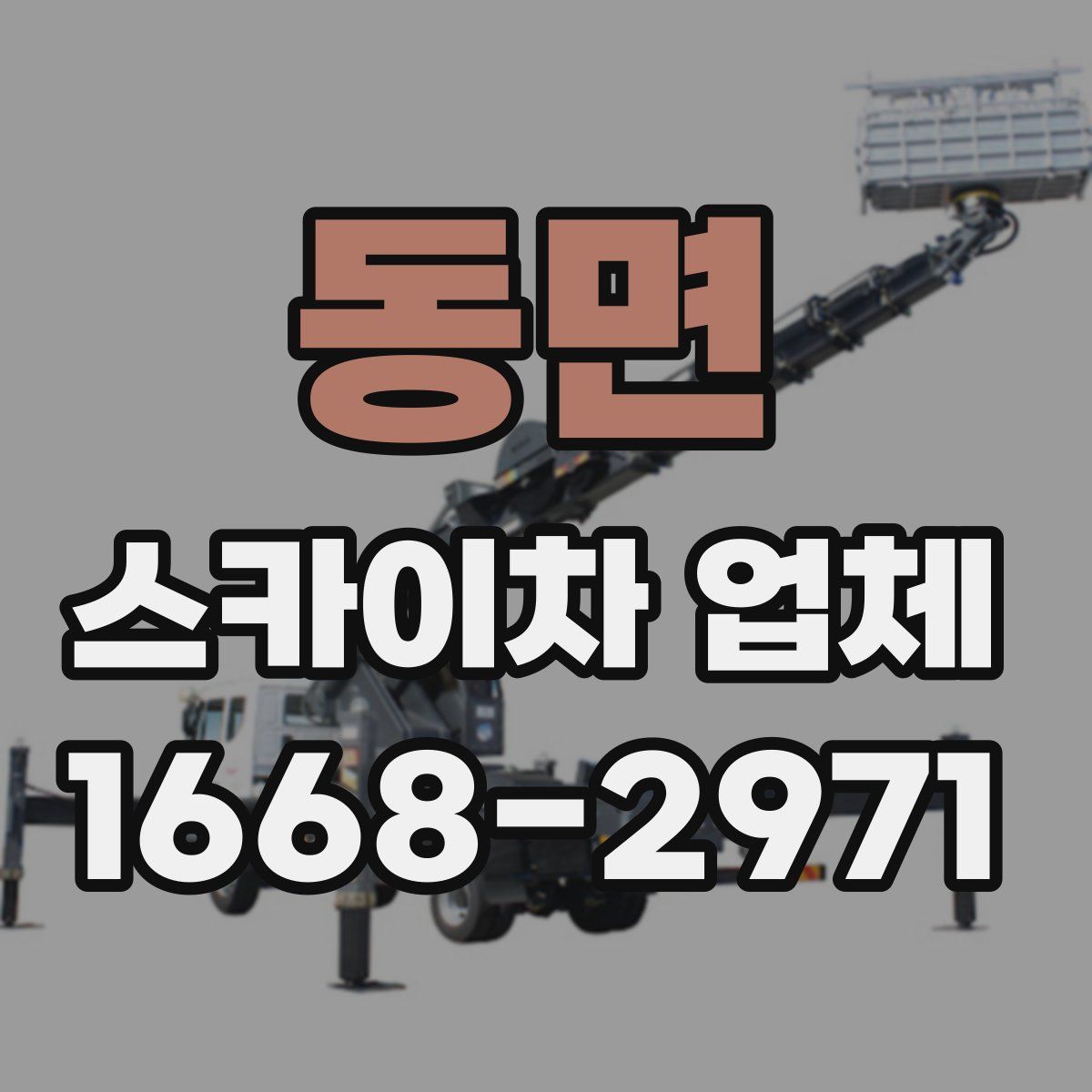 동면 스카이차 업체