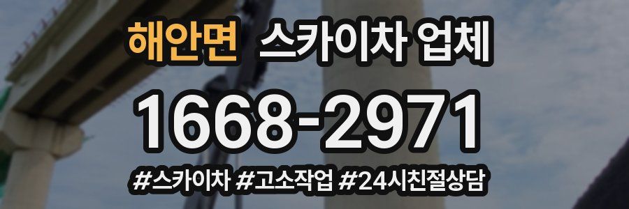해안면 스카이차 업체