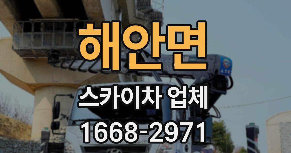 해안면 스카이차 업체