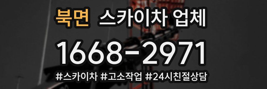 북면 스카이차 업체