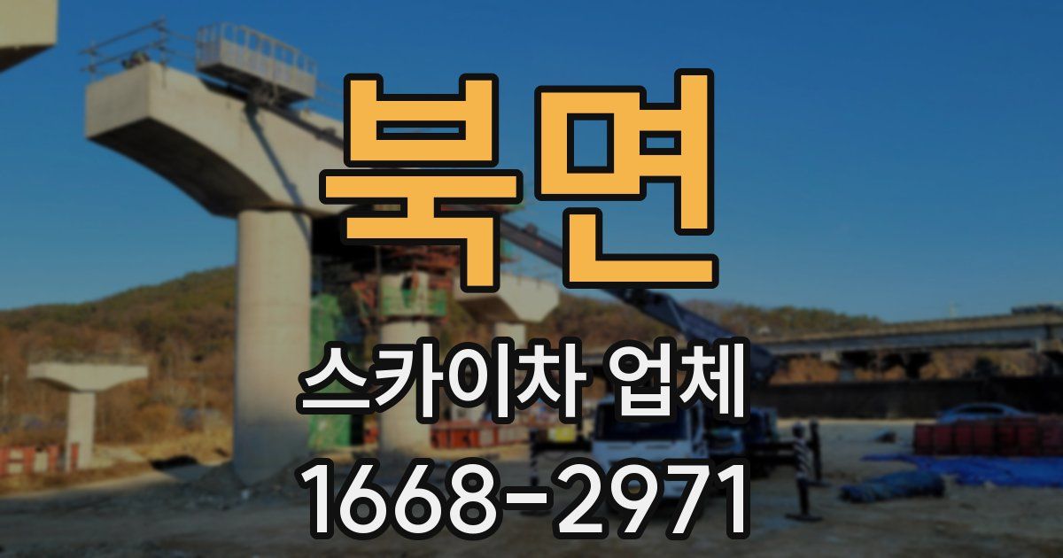 북면 스카이차 업체