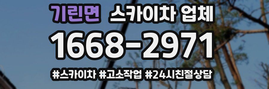 기린면 스카이차 업체