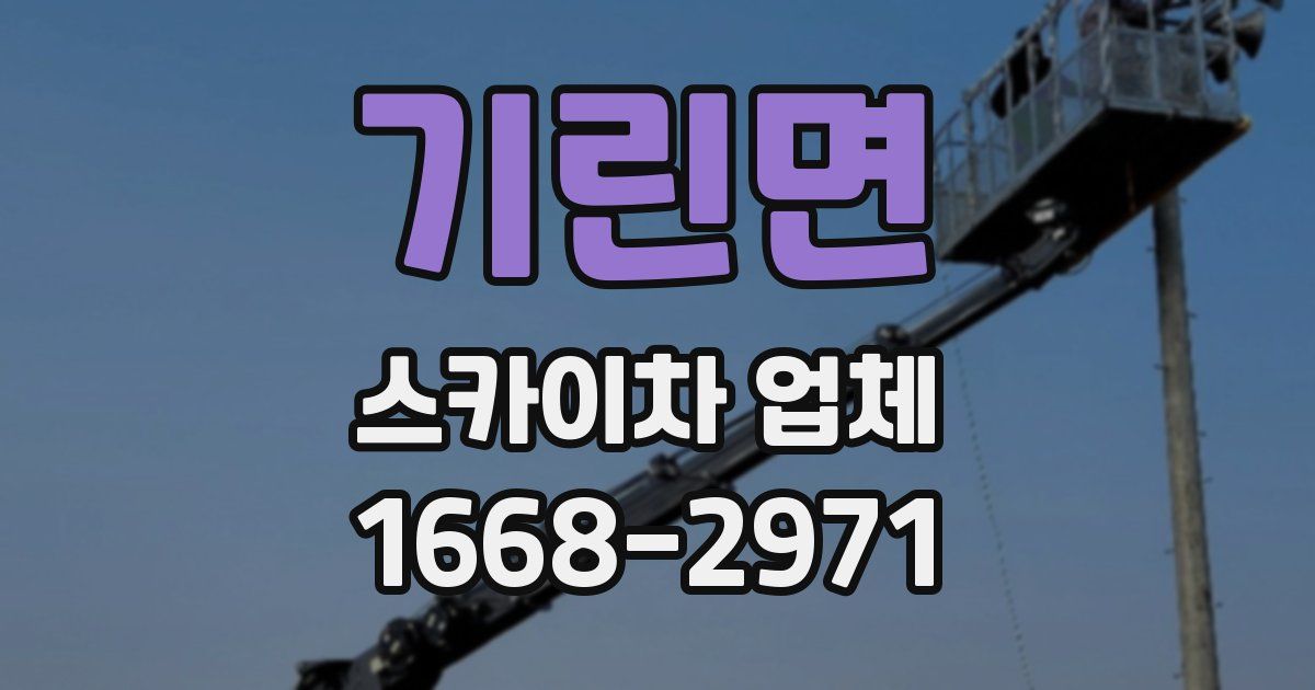 기린면 스카이차 업체