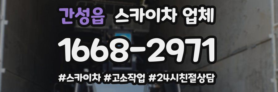 간성읍 스카이차 업체