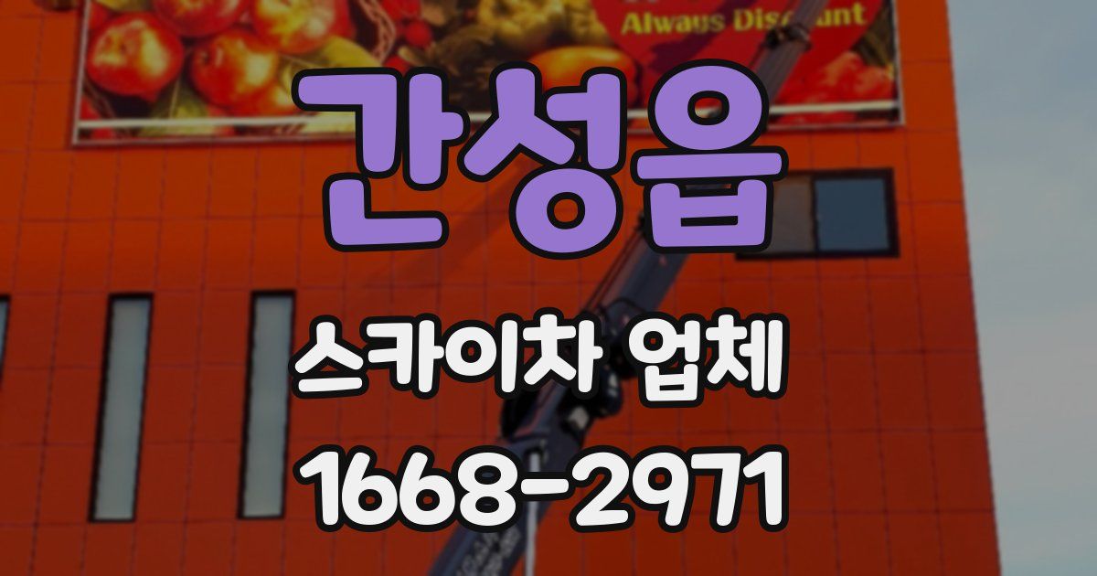 간성읍 스카이차 업체
