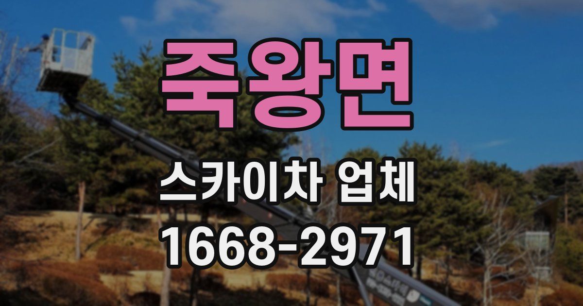 죽왕면 스카이차 업체