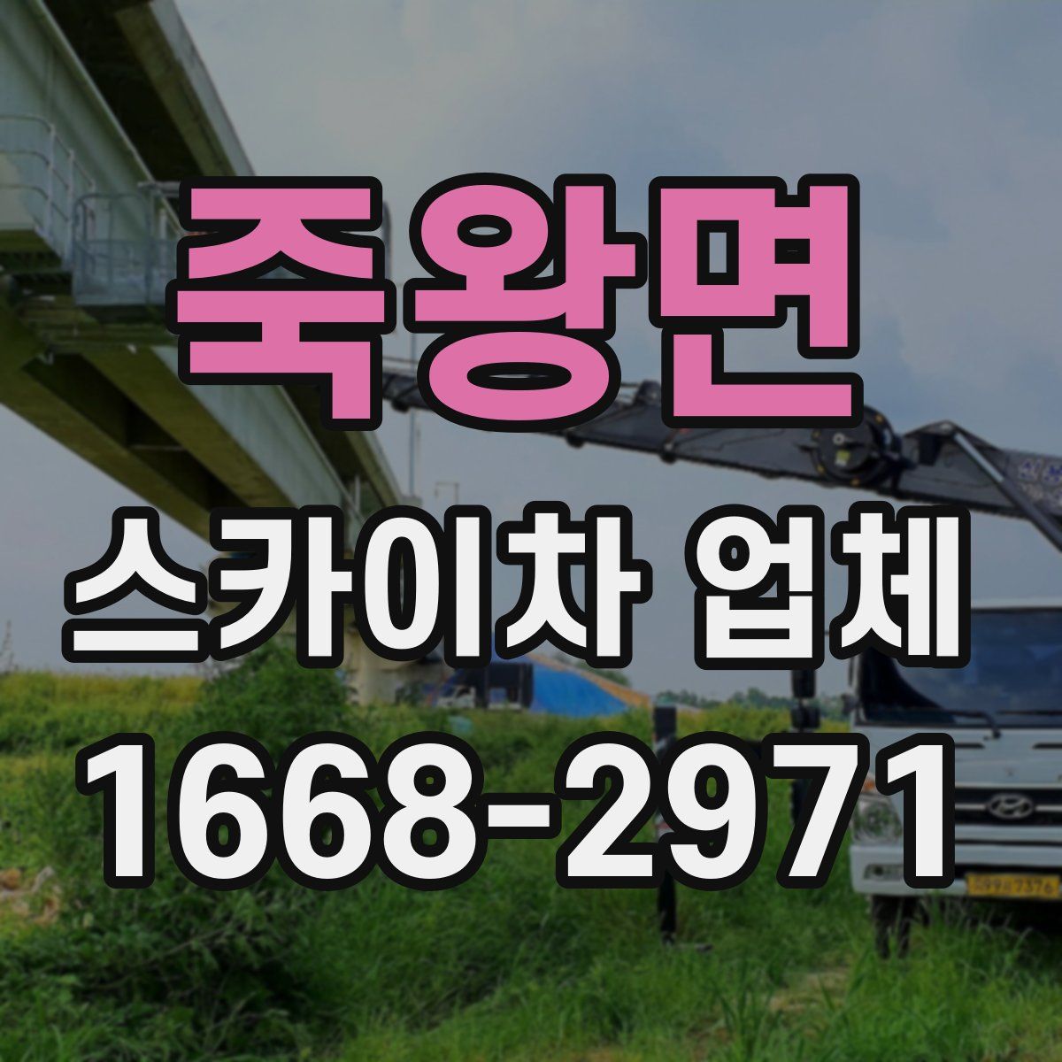 죽왕면 스카이차 업체
