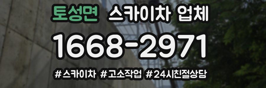 토성면 스카이차 업체