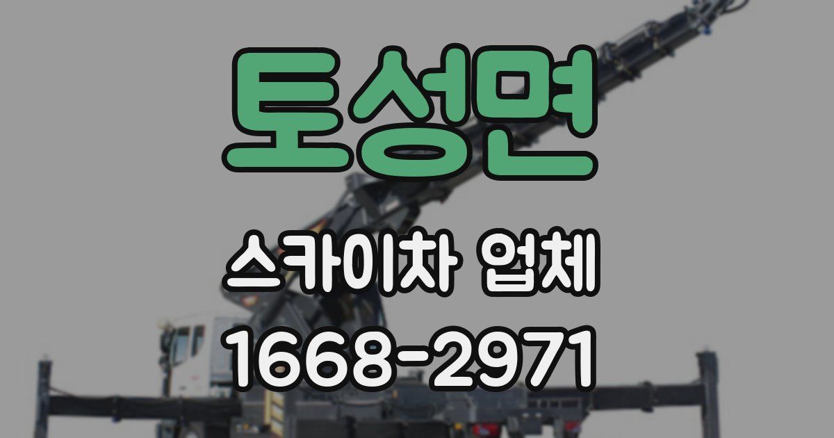 토성면 스카이차 업체