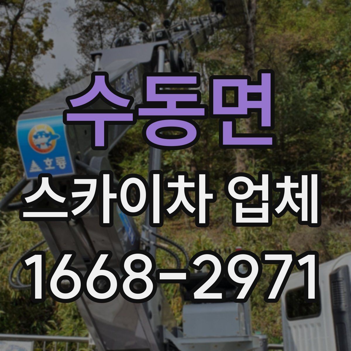 수동면 스카이차 업체 비교 시 경험과 대응 속도 확인하기